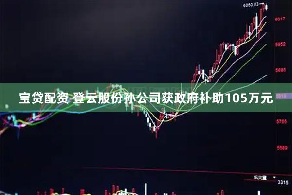 宝贷配资 登云股份孙公司获政府补助105万元