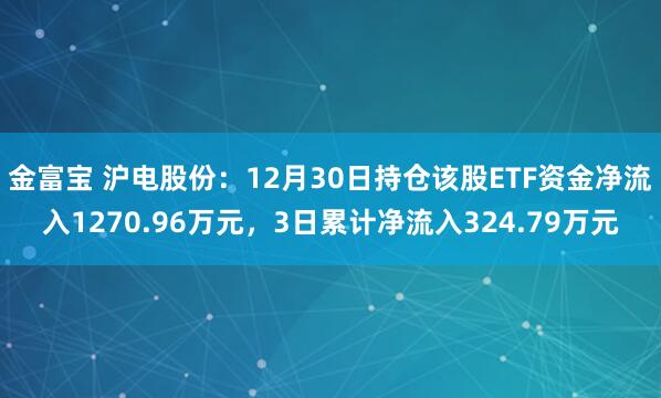 金富宝 沪电股份：12月30日持仓该股ETF资金净流入1270.96万元，3日累计净流入324.79万元