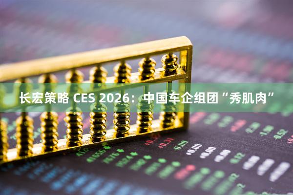 长宏策略 CES 2026：中国车企组团“秀肌肉”